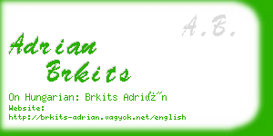 adrian brkits business card